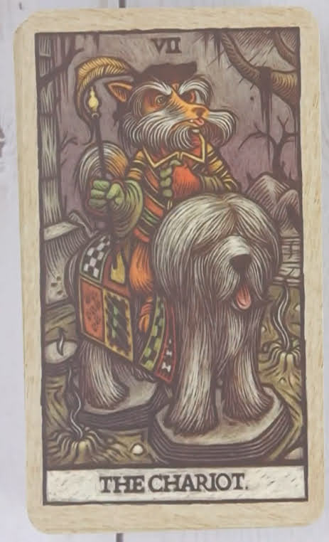 Labyrinth Tarot (Tomás Hijo)